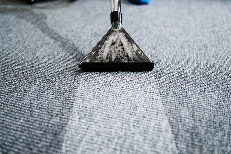 Carpet Cleaning And Sanitizing