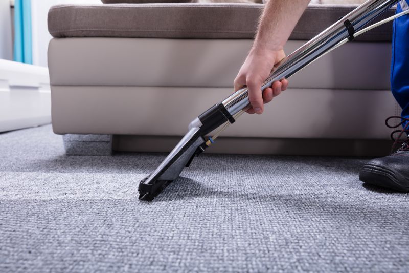 Carpet Cleaning And Sanitizing