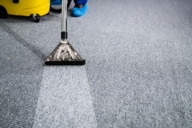 Carpet Cleaning And Sanitizing