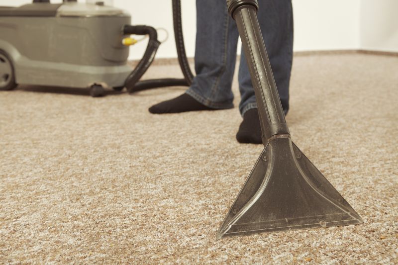 Carpet Cleaning And Sanitizing