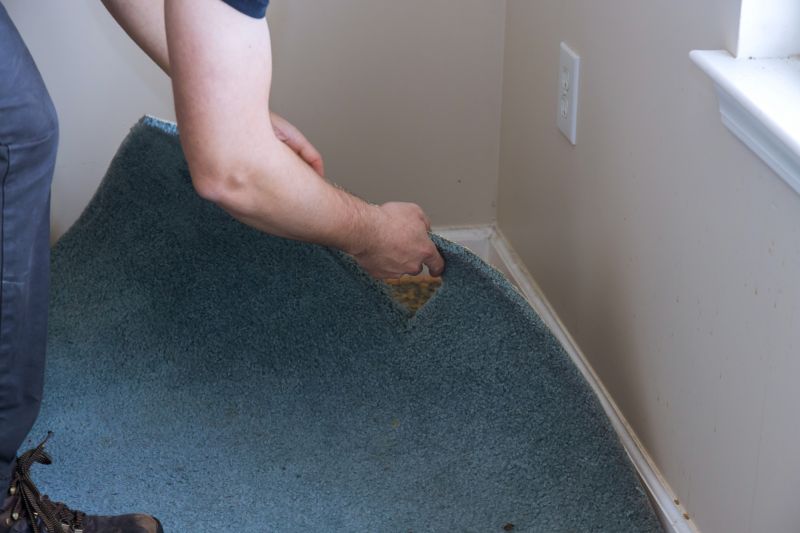 Basement Carpet Stretching in Monmouth County, NJ