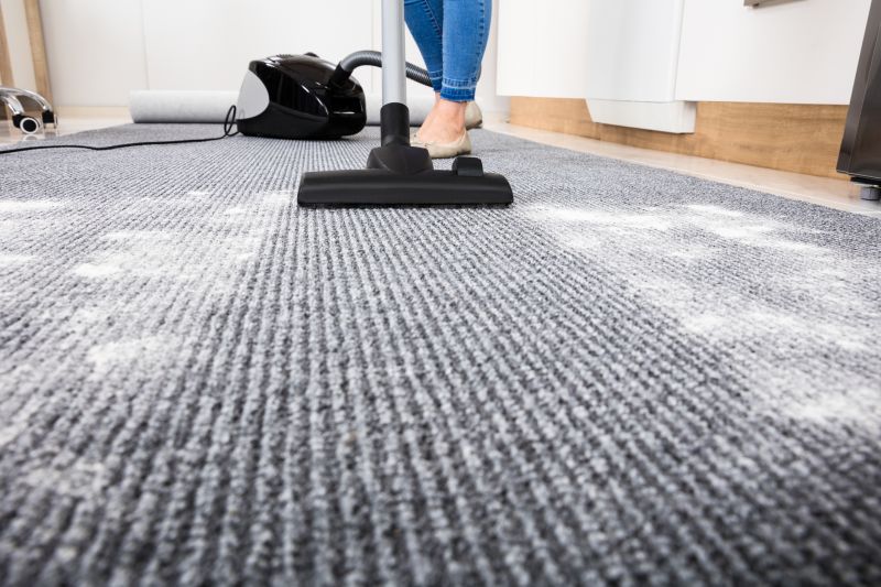 Carpet And Rug Cleaning For Homes With Pets