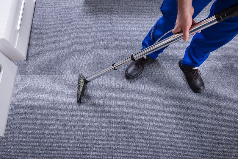 Carpet And Rug Cleaning For Homes With Pets