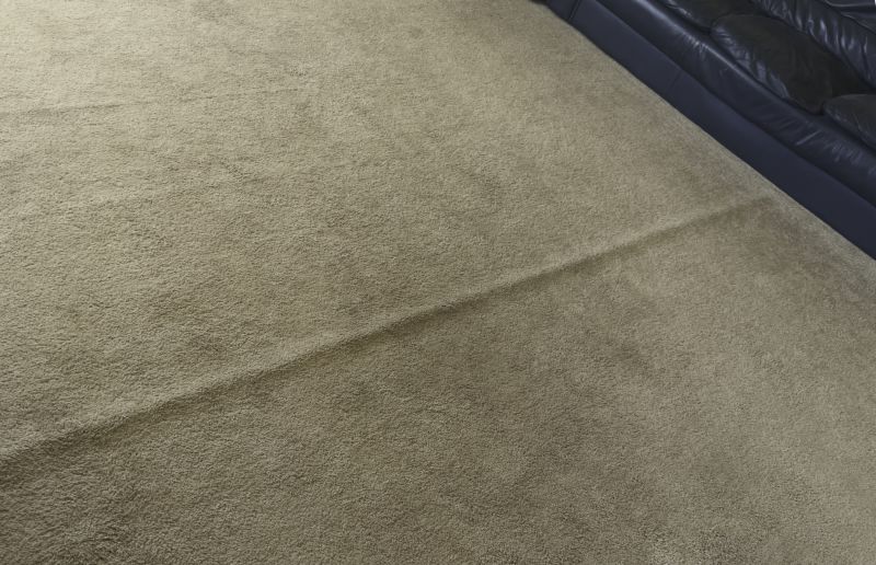 Carpet Burn Repair in Littleton, CO