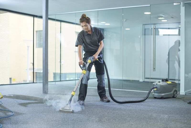 Carpet Cleaning And Sanitizing