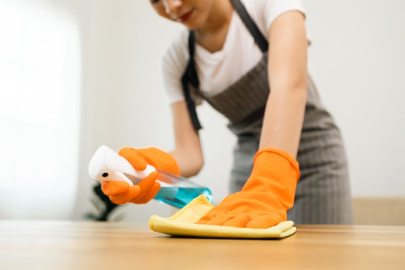 Carpet Cleaning And Sanitizing