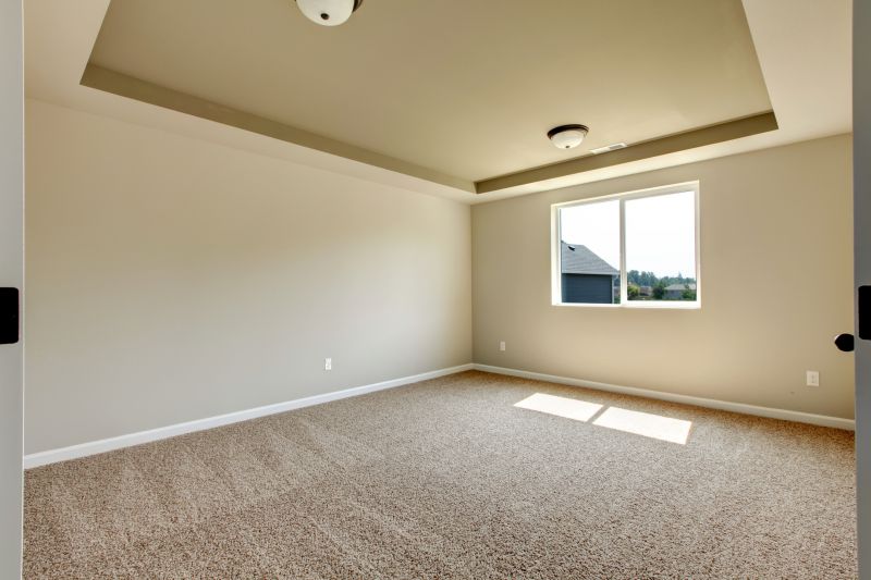 Carpet Foam Replacement in Alpharetta, GA