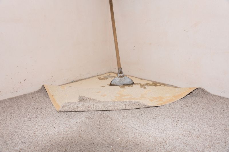 Carpet Hole Repair in Littleton, CO