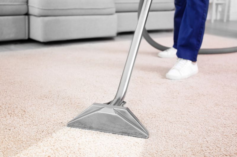 Carpet Cleaning And Sanitizing detail