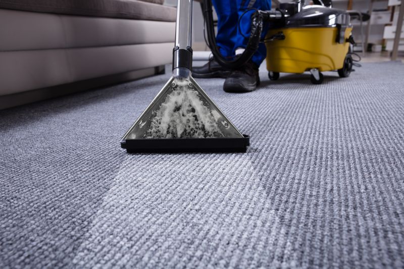 Carpet Cleaning And Sanitizing detail
