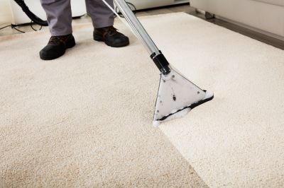 Carpet Cleaning And Sanitizing detail