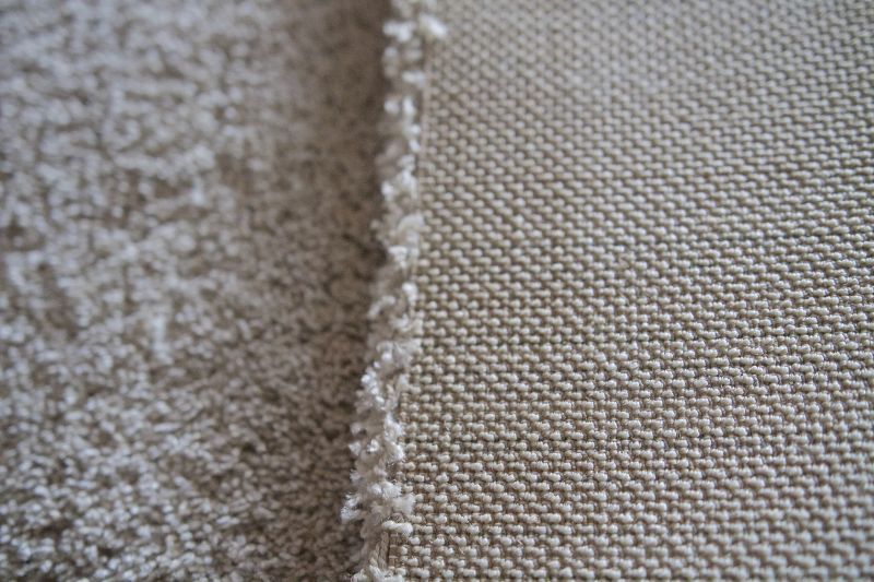 Pet Stain Carpet Repair in Alpharetta, GA