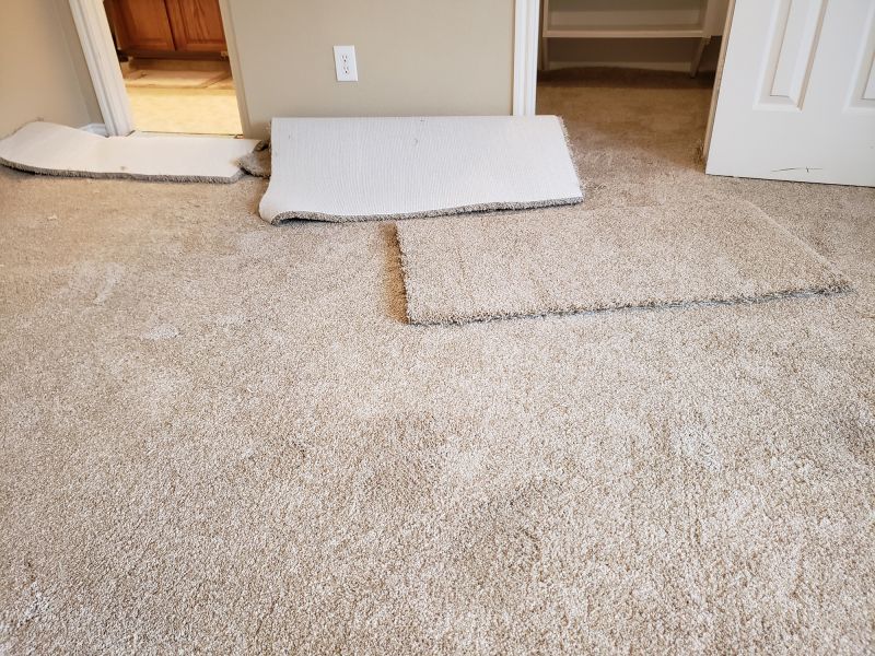 Pet Stain Carpet Repair in Olathe, KS