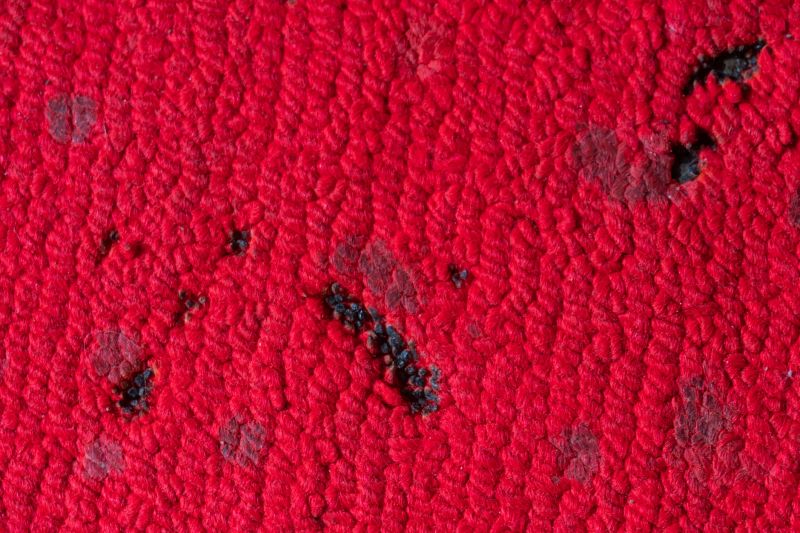 Residential Carpet Repair in Kansas City, KS
