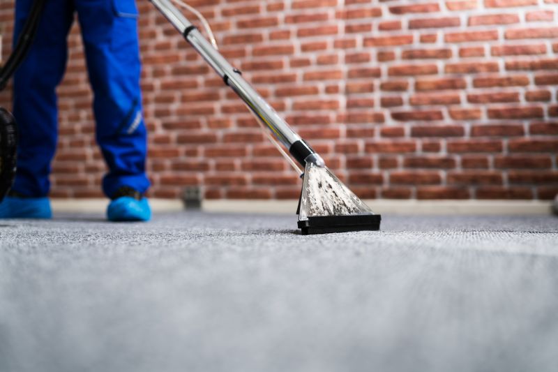 Steam Cleaning Vs Dry Carpet Cleaning Explained