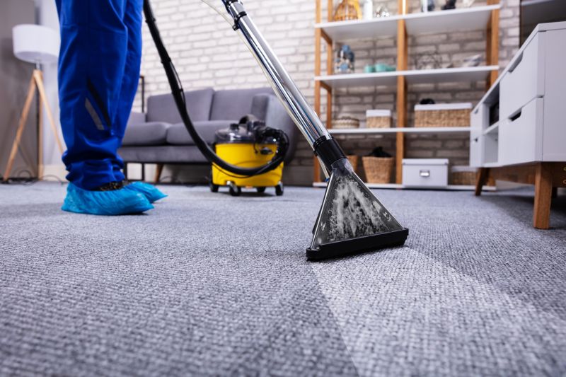 Local Carpet Cleaning And Sanitizing pros at work